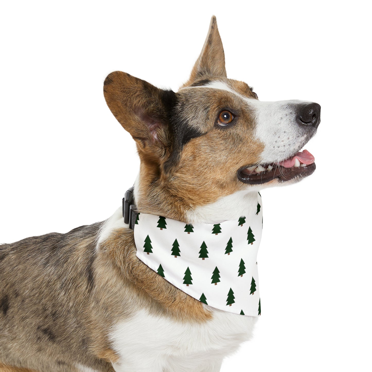 Peppermint Dog Bandana Collar