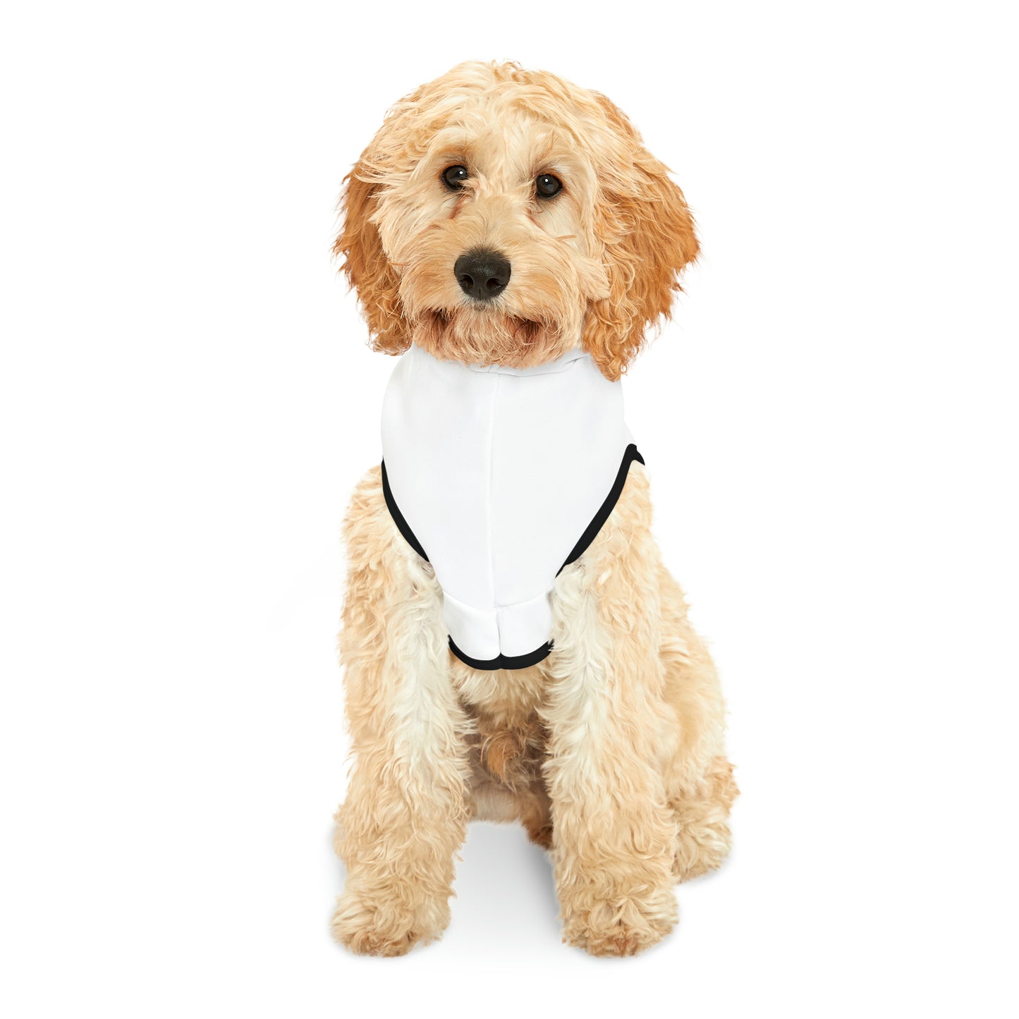 My Heart Belongs To Mommy - Valentine's Day Pet Hoodie