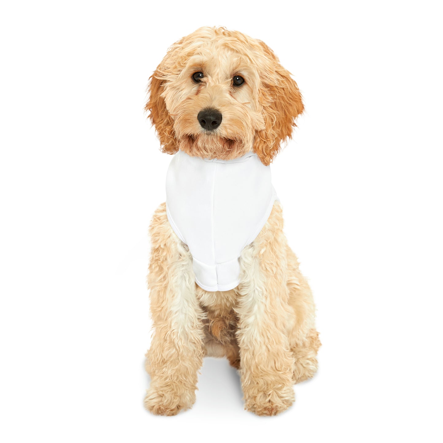 My Heart Belongs To Mommy - Valentine's Day Pet Hoodie