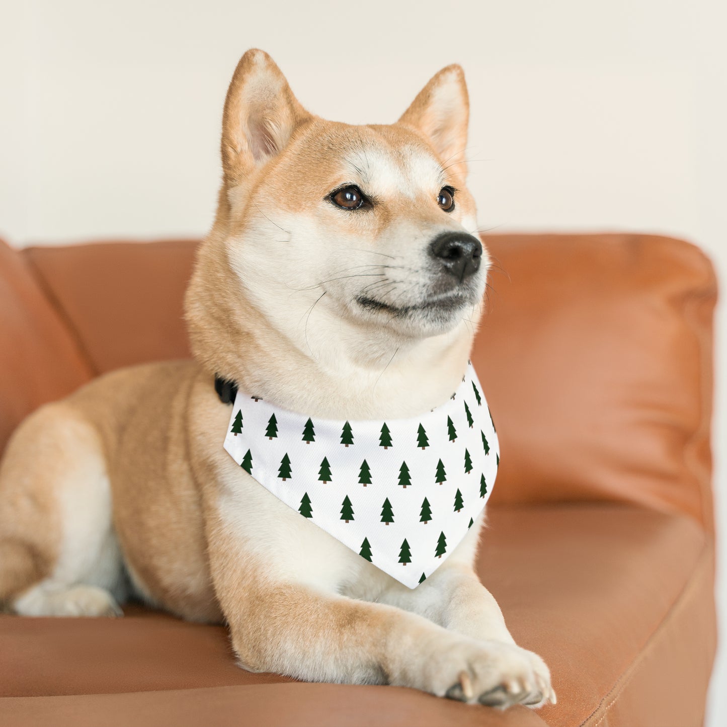 Peppermint Dog Bandana Collar
