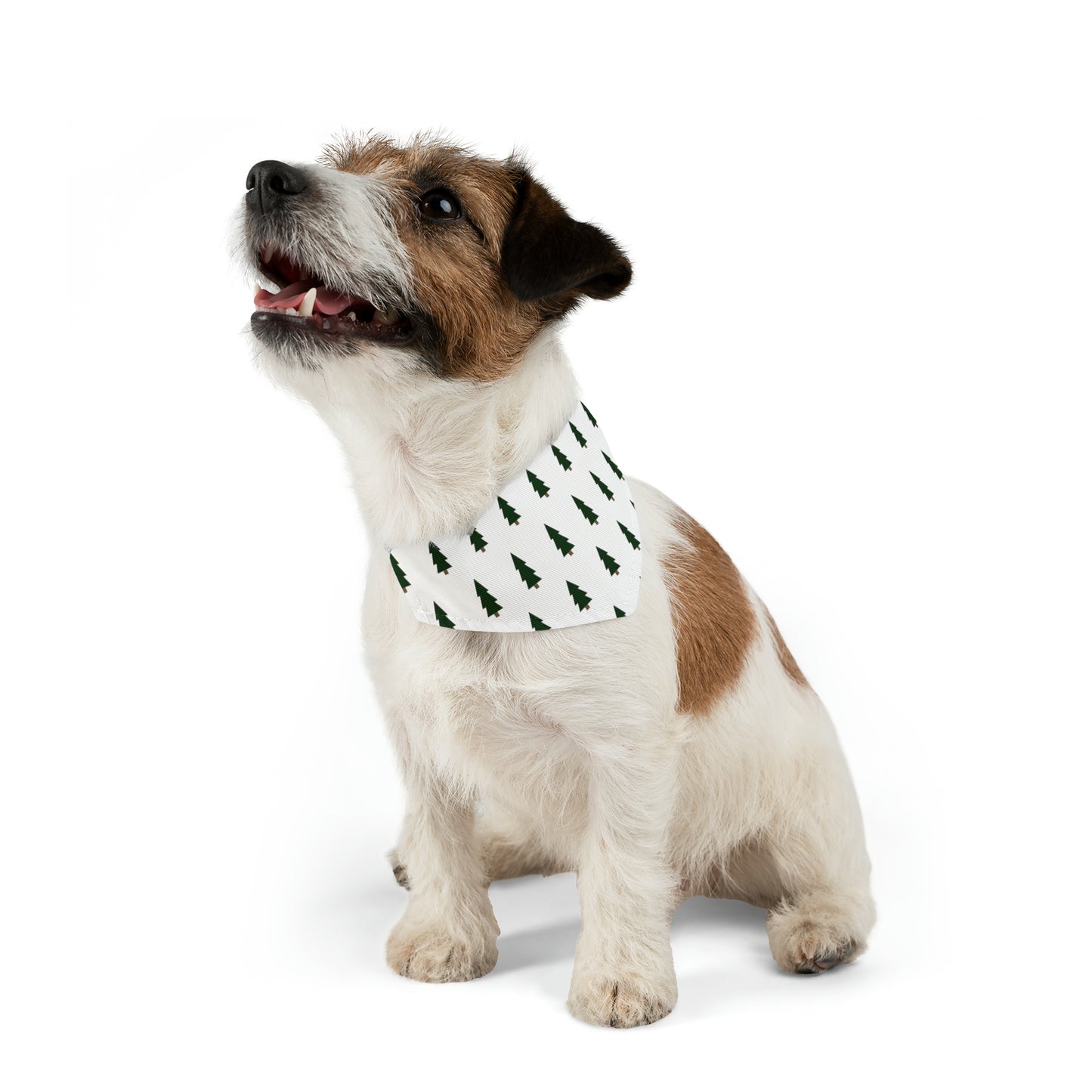 Peppermint Dog Bandana Collar