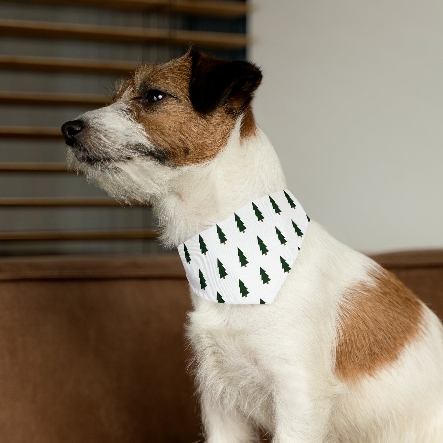 Peppermint Dog Bandana Collar