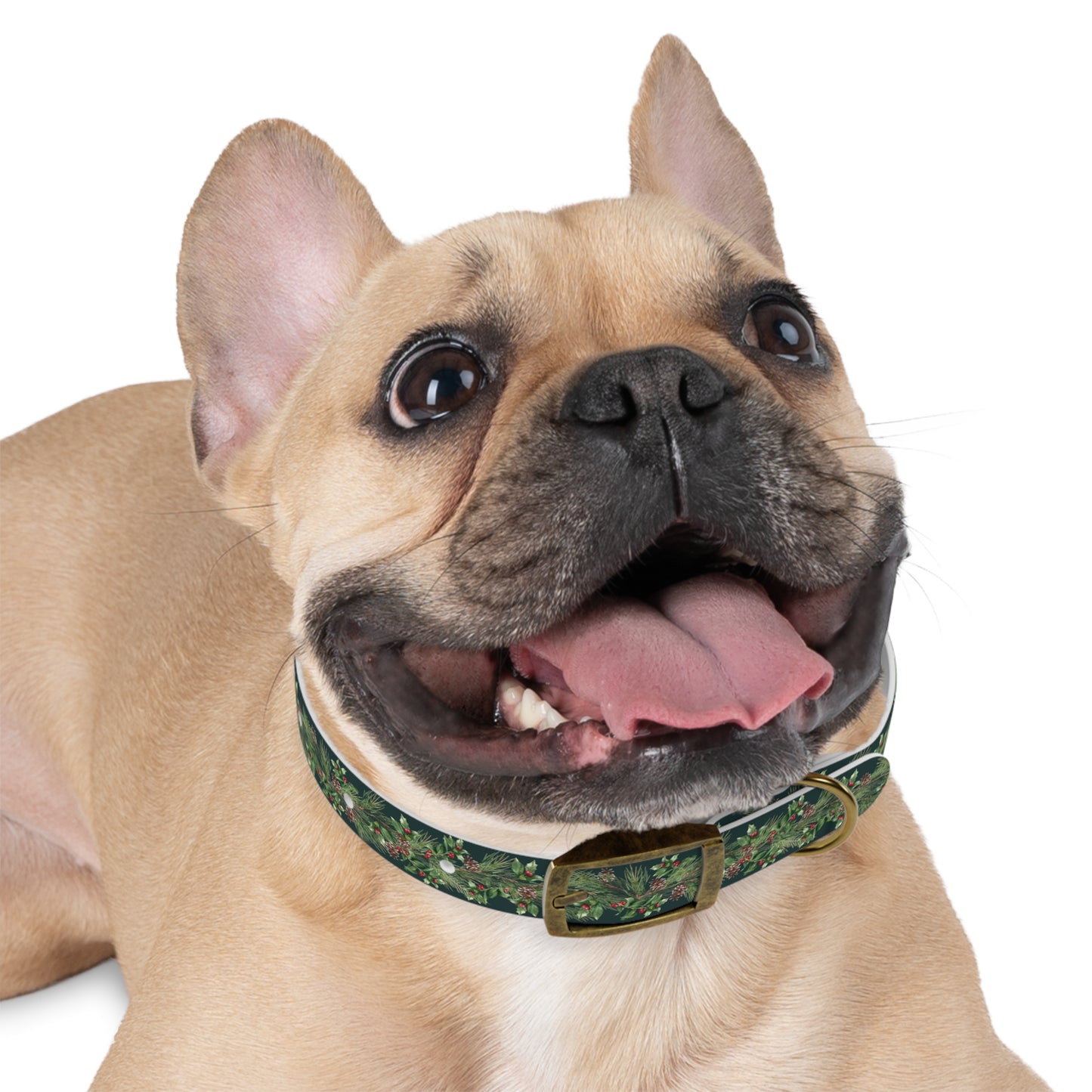 Winter Holly Berry Pinecone Dog Collar