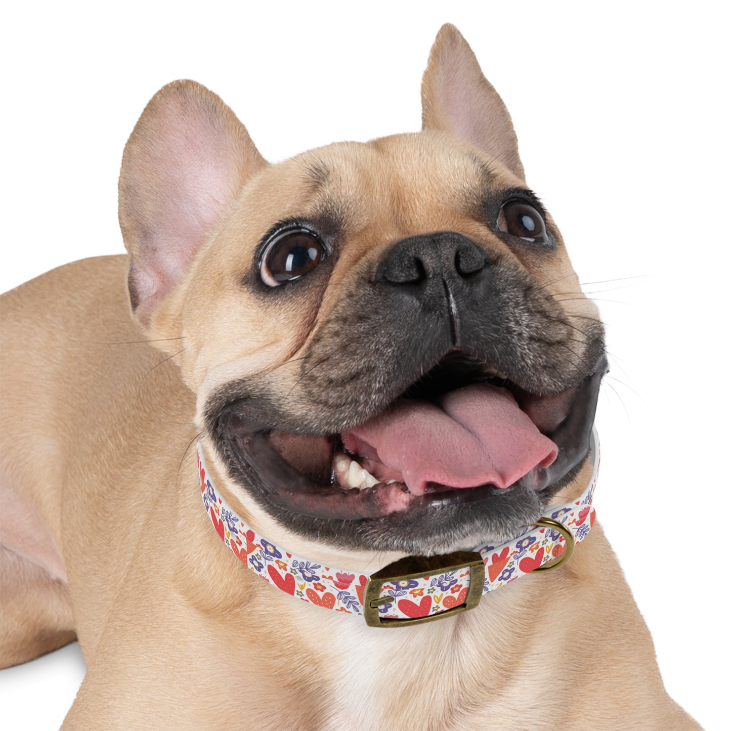 Hearts & Flowers Dog Collar