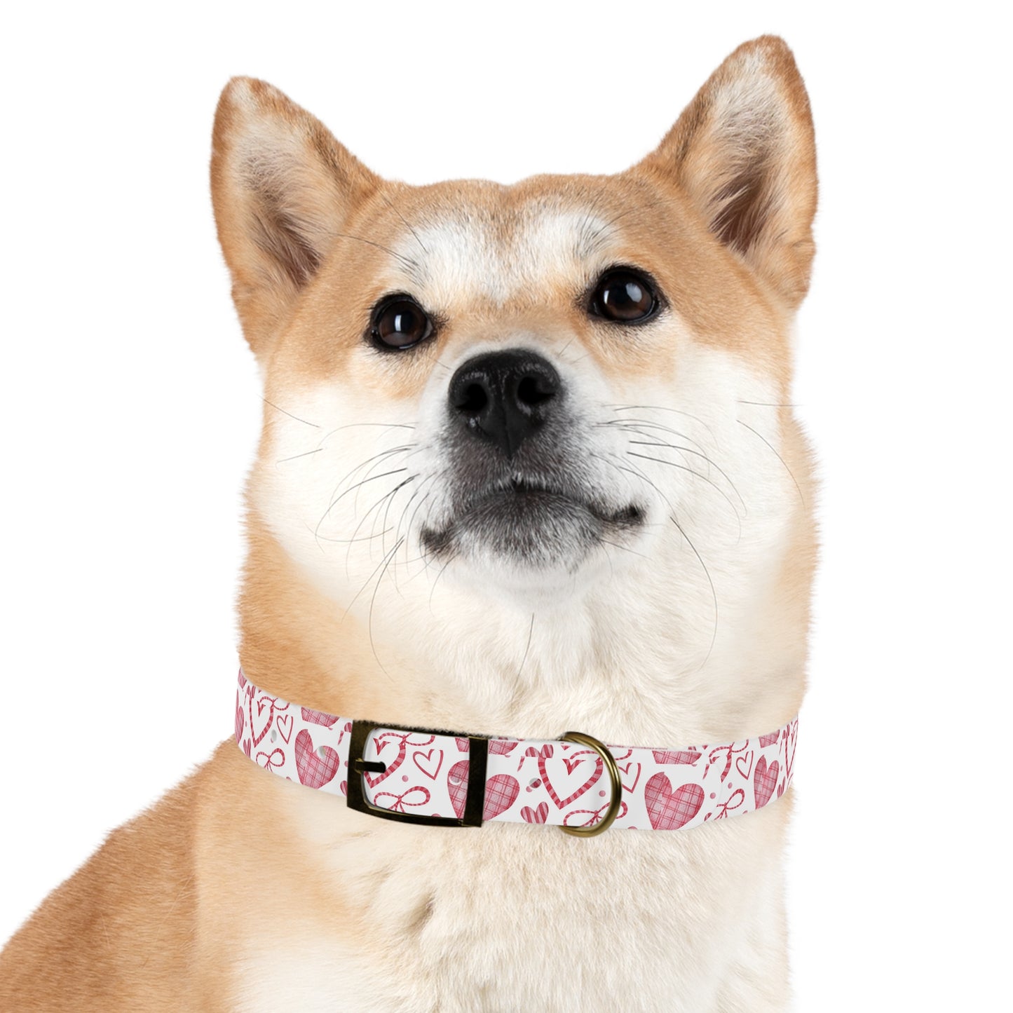 Lots of Love Dog Collar