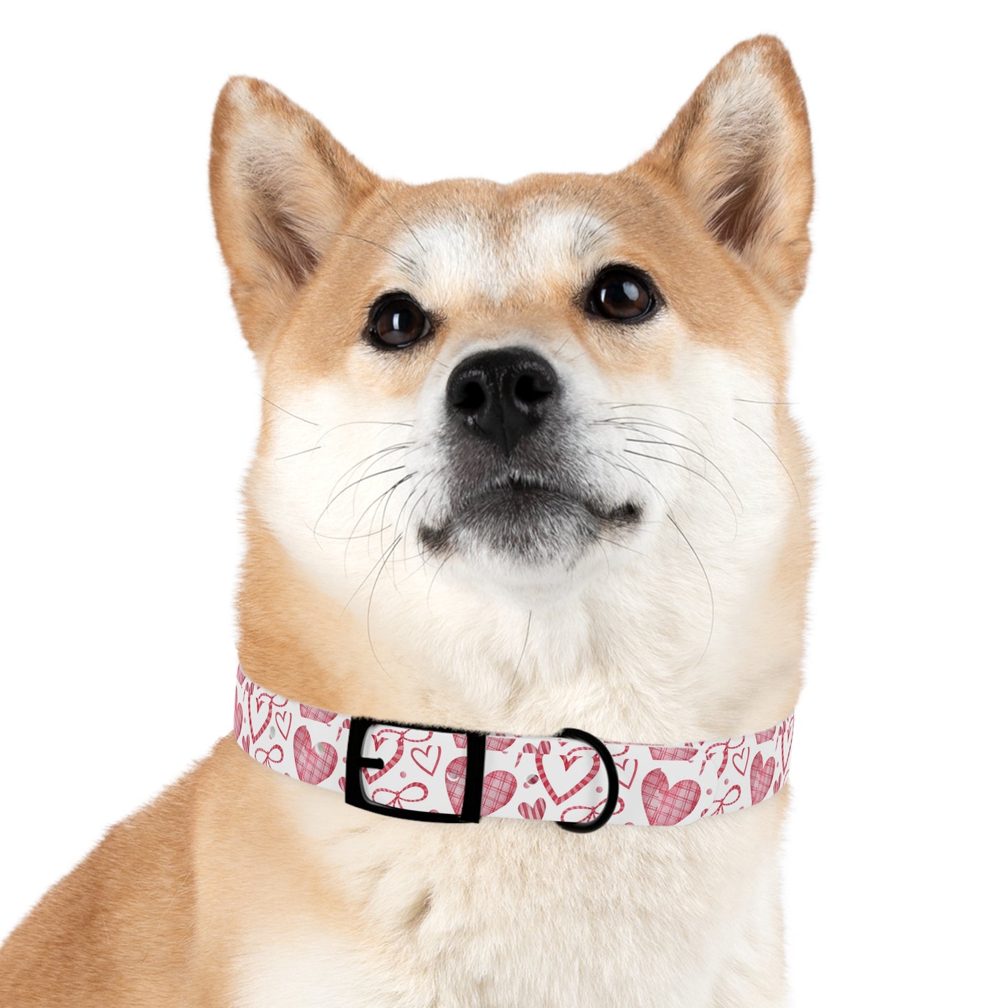 Lots of Love Dog Collar