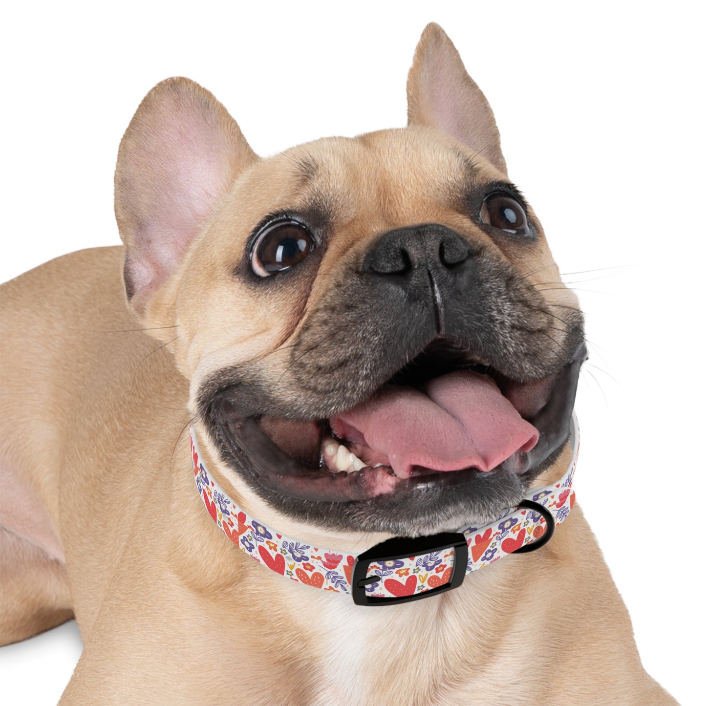 Hearts & Flowers Dog Collar