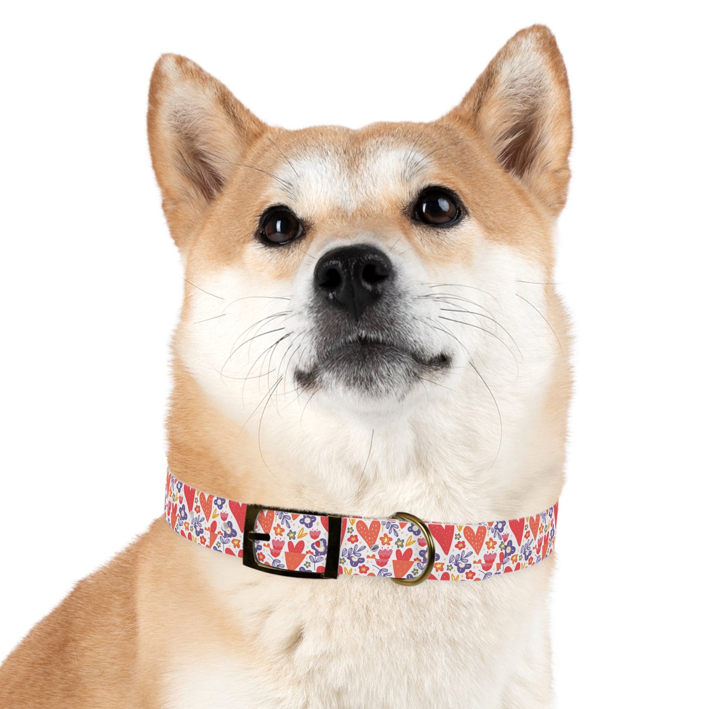 Hearts & Flowers Dog Collar