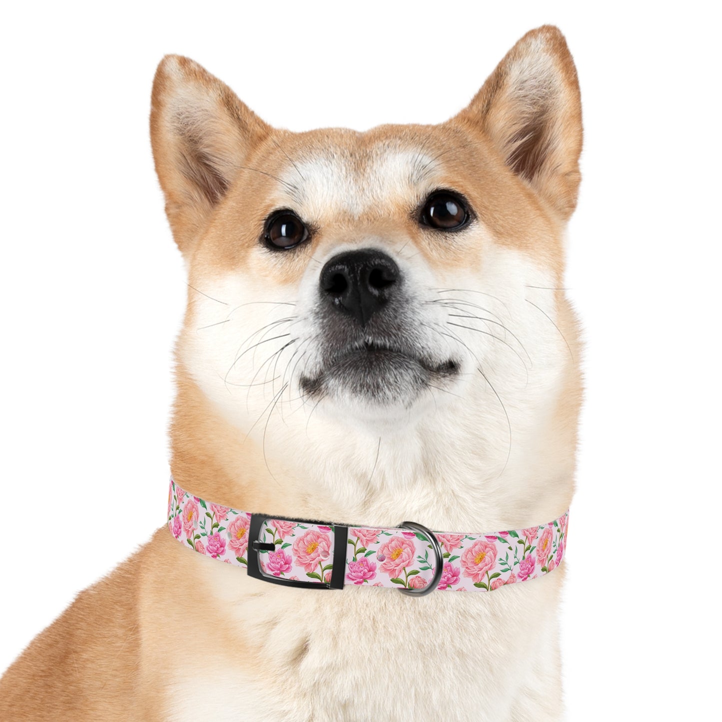 Large Floral Dog Collar