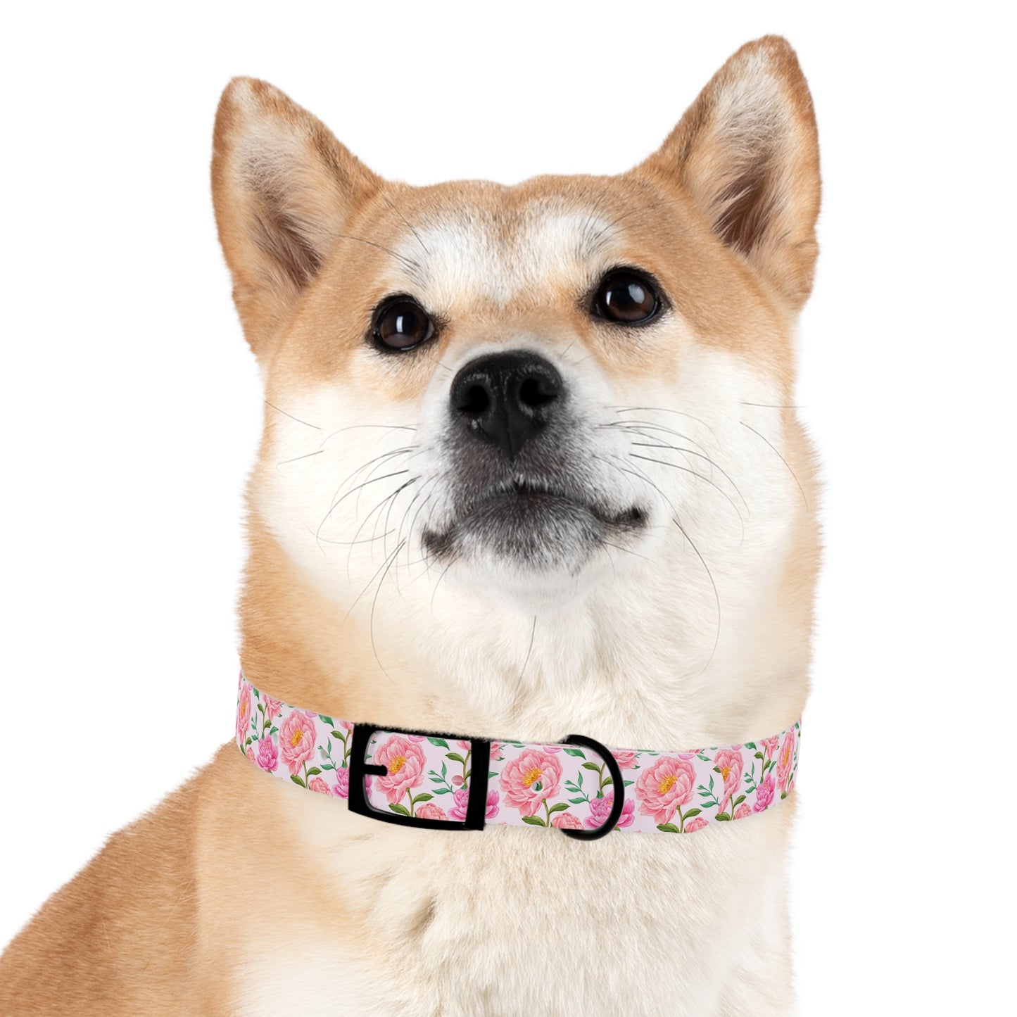 Large Floral Dog Collar