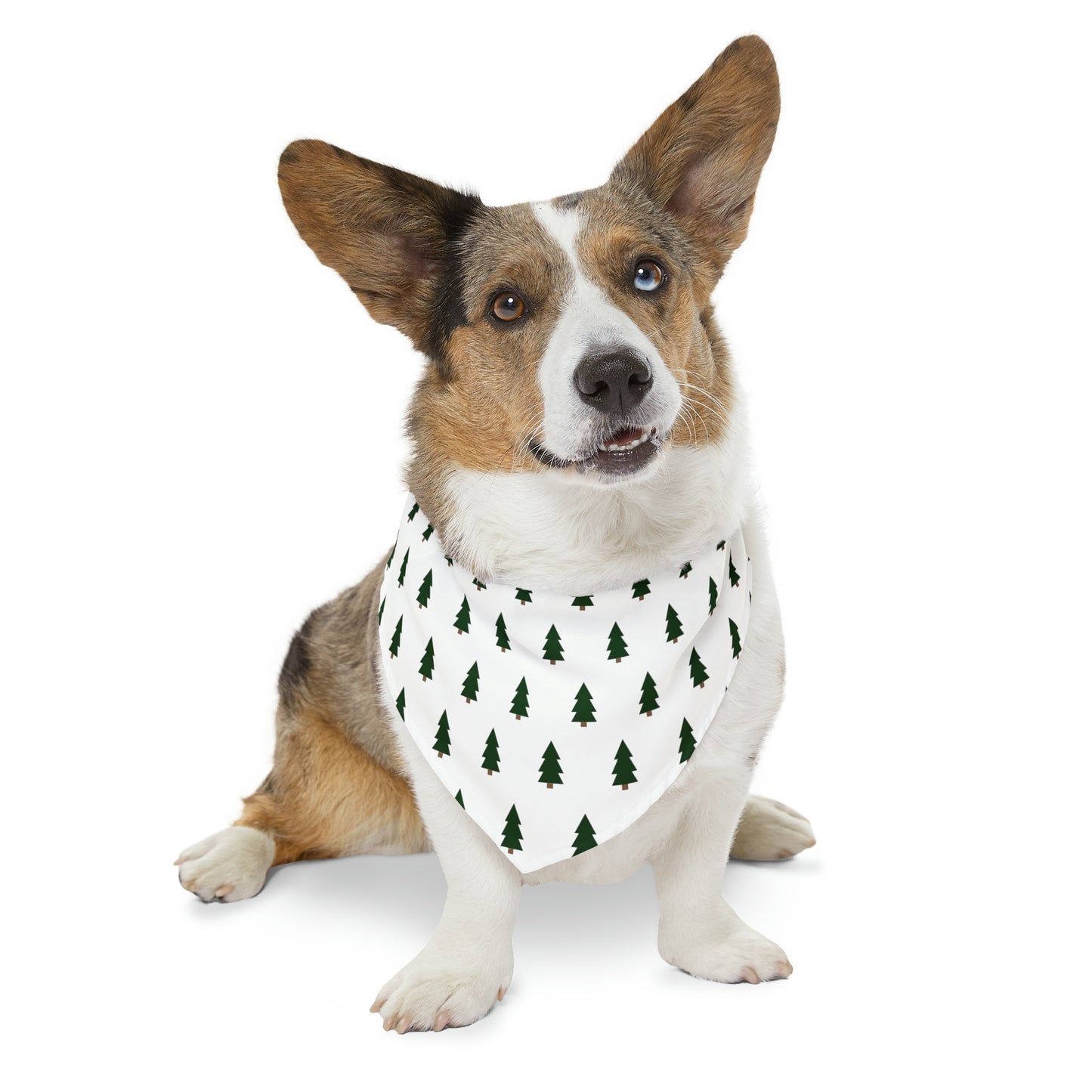 Peppermint Dog Bandana Collar