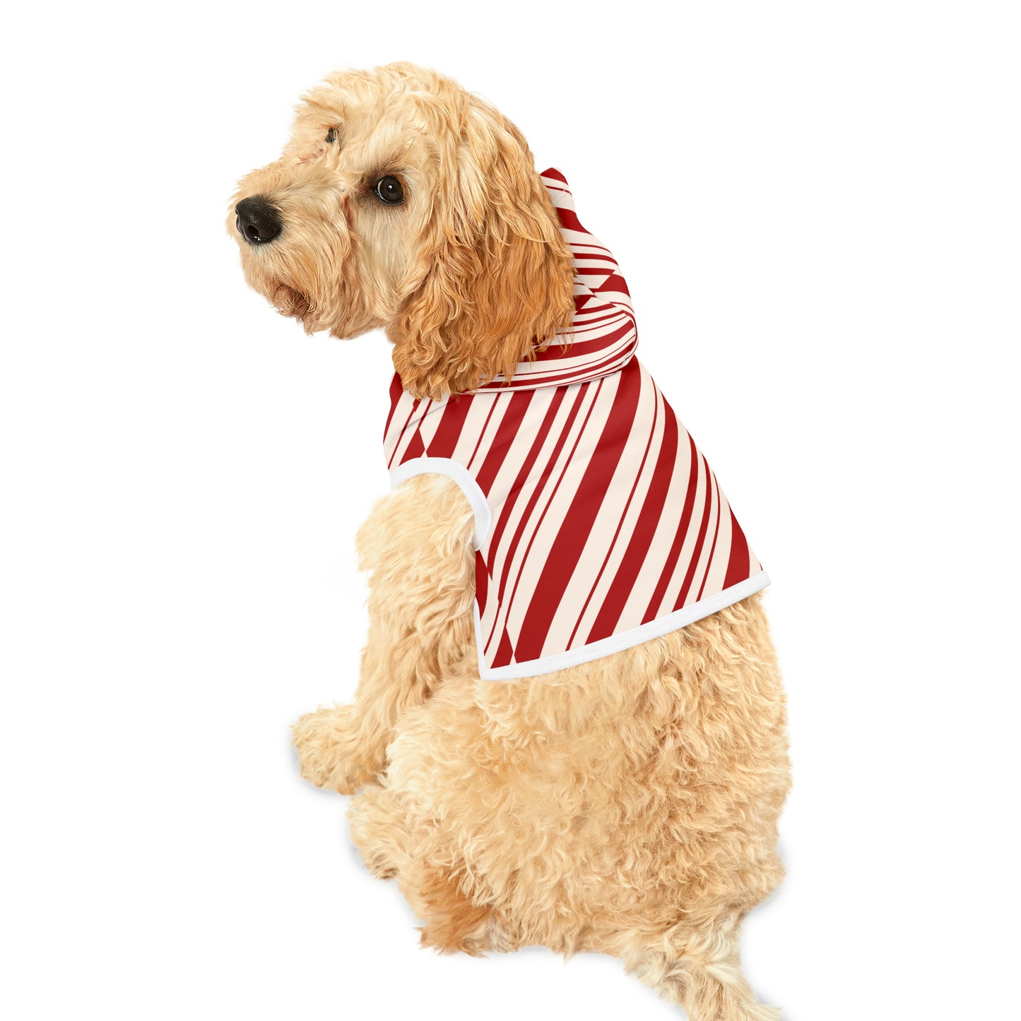 Peppermint Candy Cane Pet Hoodie